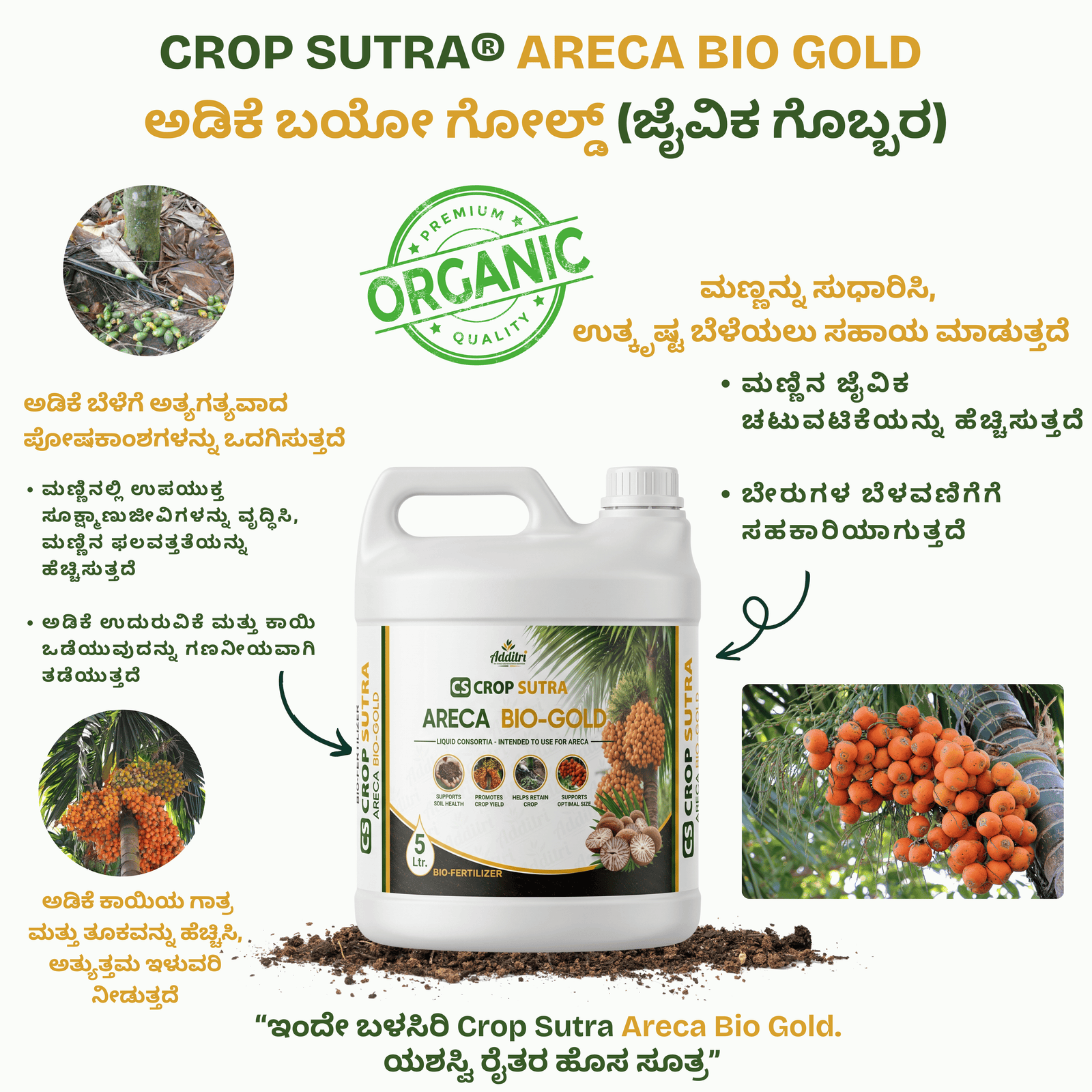 Crop Sutra Areca BIO-GOLD Back